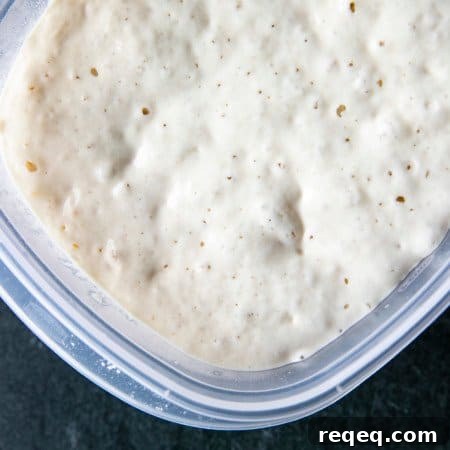 This tutorial shows you how to make a sourdough starter using just flour and water. You'll be ready to bake sourdough bread in as few as 5 days!
