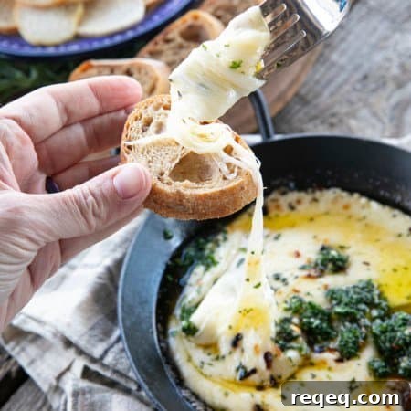 Provoleta - Fried Cheese