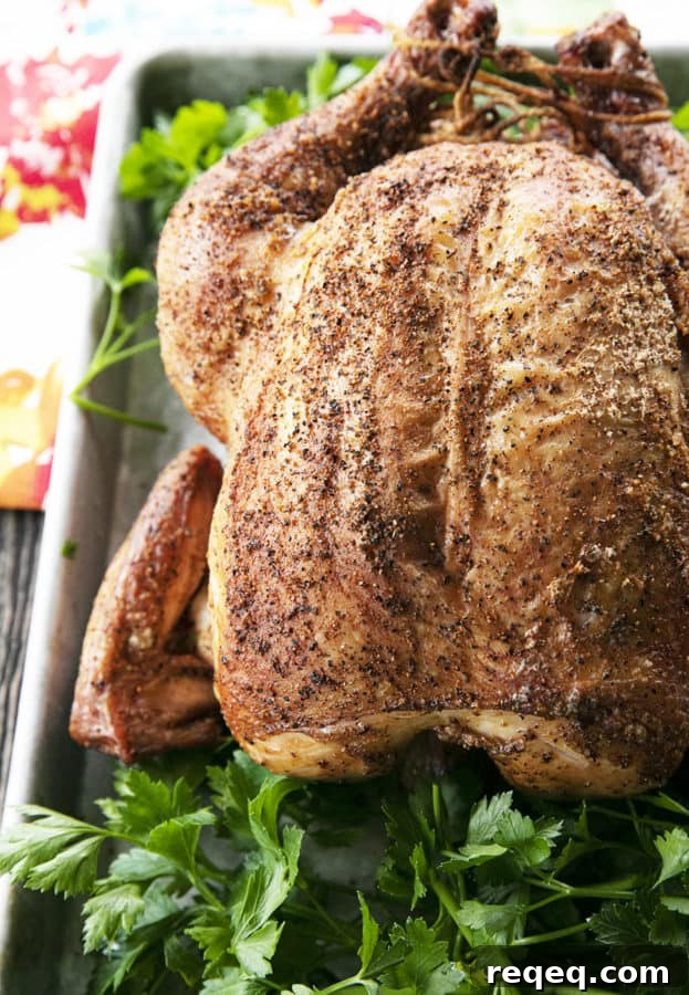 You will never believe how easy and spectacular this smoked whole chicken recipe is until you try it yourself. Full of tips and tricks, this post will help you make the best smoked chicken recipe you've ever had in your life!