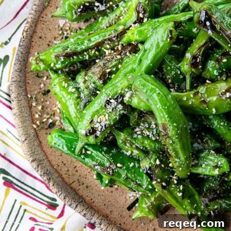 Crispy Pan-Seared Shishito Peppers Recipe 10 This quick and easy method will teach you how to cook shishito peppers perfectly and easily. With this shishito peppers recipe under your belt, these savoury, deliciously addictive blistered shishito peppers will become a favourite side dish or snack with beer and cocktails!