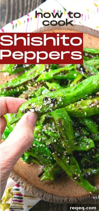 Crispy Pan-Seared Shishito Peppers Recipe 11 This quick and easy method will teach you how to cook shishito peppers perfectly and easily. With this shishito peppers recipe under your belt, these savoury, deliciously addictive blistered shishito peppers will become a favourite side dish or snack with beer and cocktails!