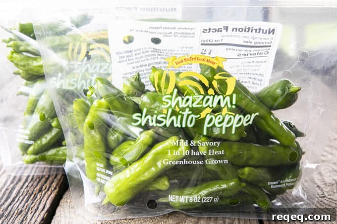 Crispy Pan-Seared Shishito Peppers Recipe 3 This quick and easy method will teach you how to cook shishito peppers perfectly and easily. With this shishito peppers recipe under your belt, these savoury, deliciously addictive blistered shishito peppers will become a favourite side dish or snack with beer and cocktails!