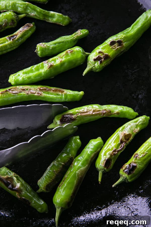 Crispy Pan-Seared Shishito Peppers Recipe 5 This quick and easy method will teach you how to cook shishito peppers perfectly and easily. With this shishito peppers recipe under your belt, these savoury, deliciously addictive blistered shishito peppers will become a favourite side dish or snack with beer and cocktails!
