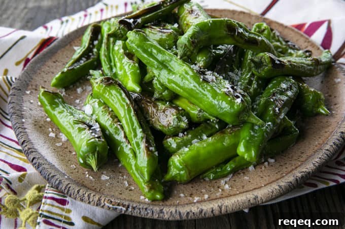 Crispy Pan-Seared Shishito Peppers Recipe 7 This quick and easy method will teach you how to cook shishito peppers perfectly and easily. With this shishito peppers recipe under your belt, these savoury, deliciously addictive blistered shishito peppers will become a favourite side dish or snack with beer and cocktails!