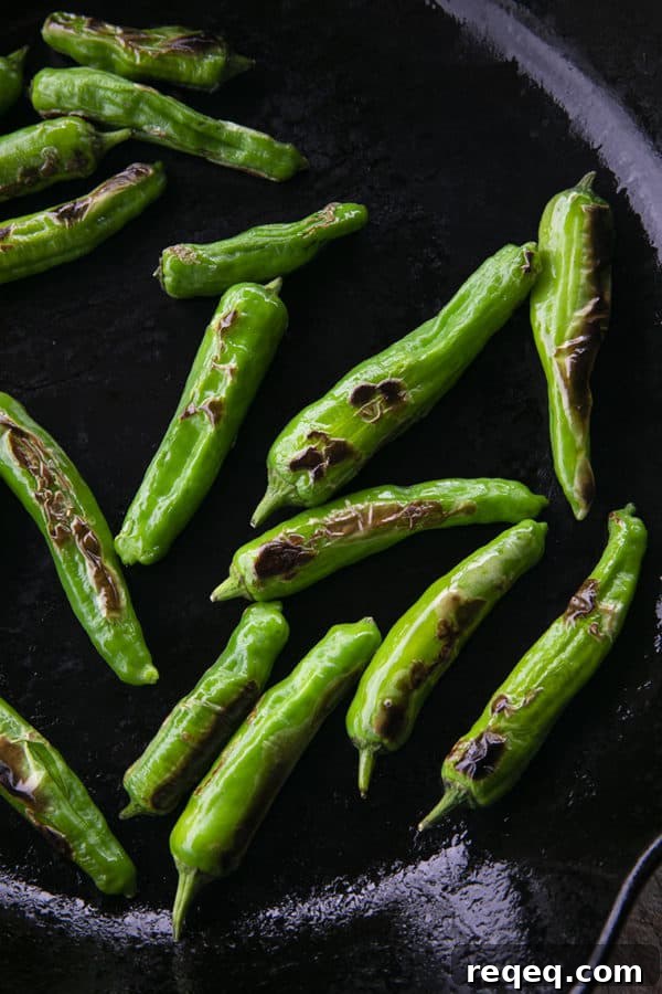 Crispy Pan-Seared Shishito Peppers Recipe 8 This quick and easy method will teach you how to cook shishito peppers perfectly and easily. With this shishito peppers recipe under your belt, these savoury, deliciously addictive blistered shishito peppers will become a favourite side dish or snack with beer and cocktails!