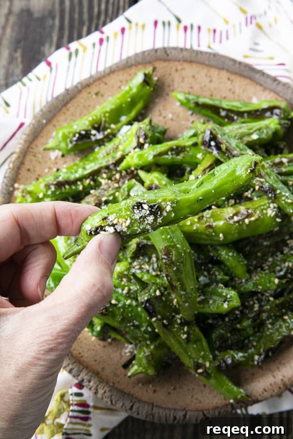 Crispy Pan-Seared Shishito Peppers Recipe 9 This quick and easy method will teach you how to cook shishito peppers perfectly and easily. With this shishito peppers recipe under your belt, these savoury, deliciously addictive blistered shishito peppers will become a favourite side dish or snack with beer and cocktails!