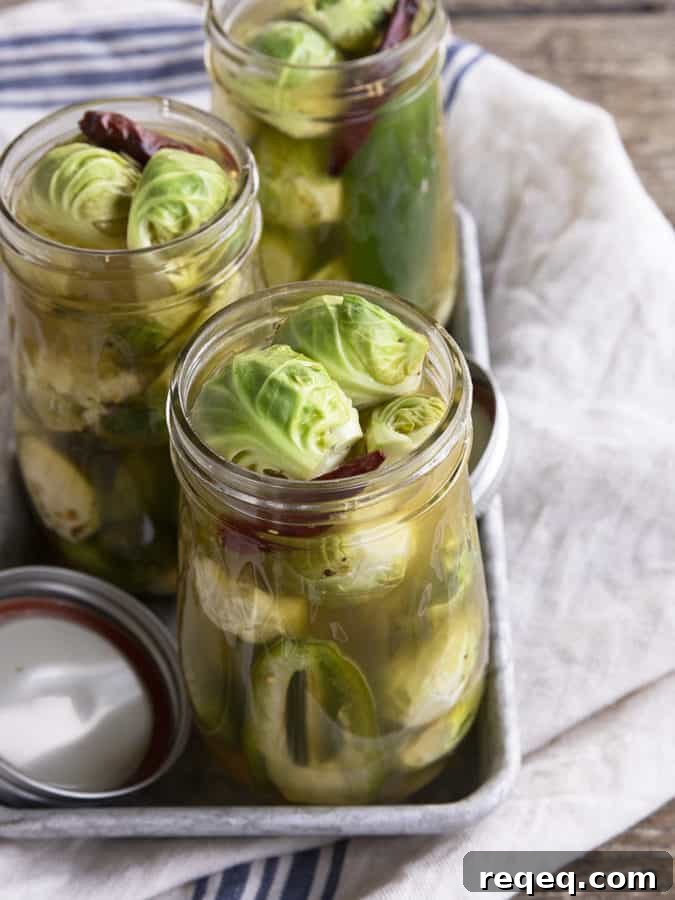 Pickled Brussels Sprouts are garlicky, tangy, crisp-tender, pickled orbs that are delicious as a snack or on a charcuterie board.