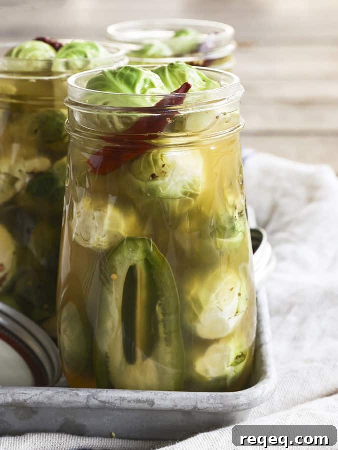 Pickled Brussels Sprouts are garlicky, tangy, crisp-tender, pickled orbs that are delicious as a snack or on a charcuterie board.