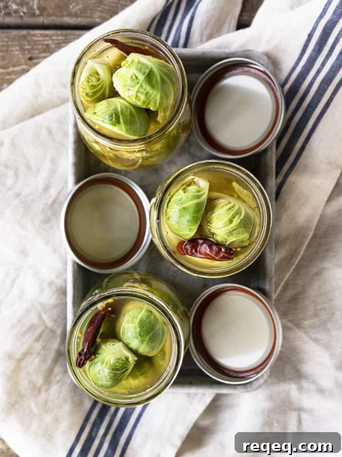 Pickled Brussels Sprouts are garlicky, tangy, crisp-tender, pickled orbs that are delicious as a snack or on a charcuterie board.