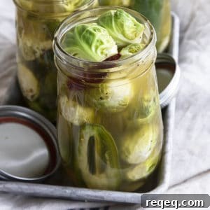 Pickled Brussels Sprouts are garlicky, tangy, crisp-tender, pickled orbs that are delicious as a snack or on a charcuterie board.