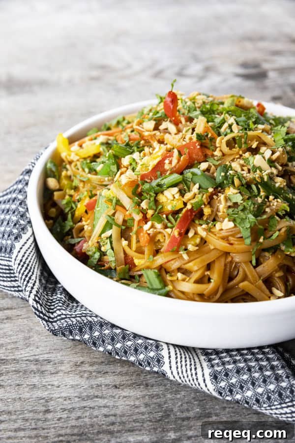 Chewy rice noodles loaded with crisp-tender vegetables, garlic and ginger sauce, and eggs make Rice Noodle Stir Fry.