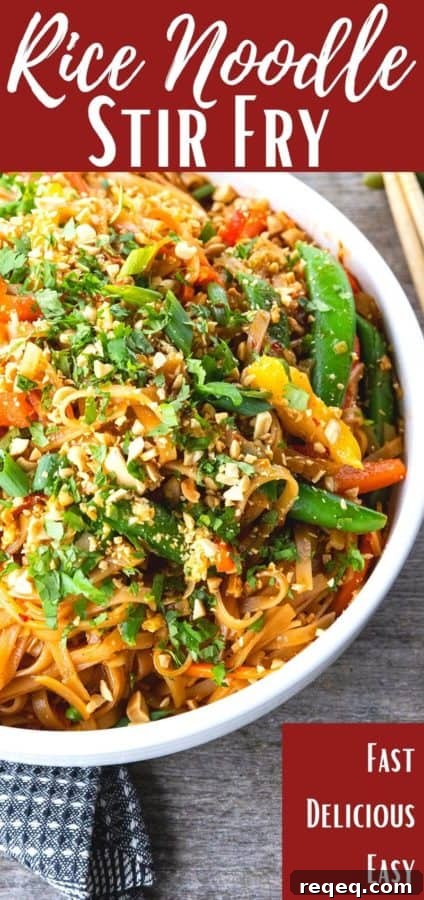 Rice Noodle Stir Fry plated and ready to eat.