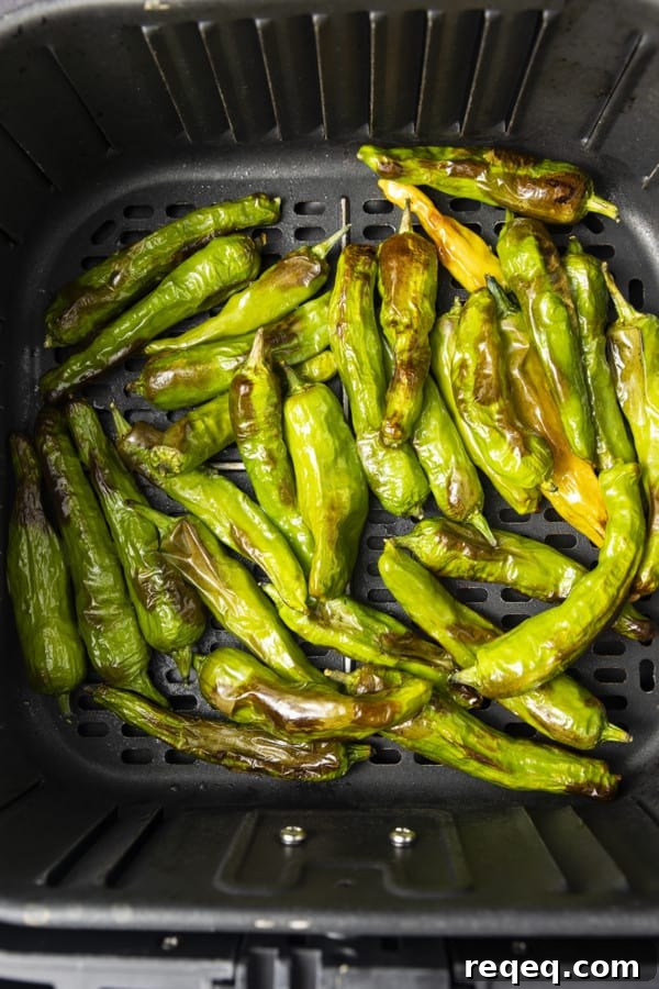 If you're looking for a great snack or the perfect appetizer, look no further than Shishito Peppers Air Fryer style. This super easy recipe for a tasty snack is made from simple ingredients and takes only 3 to 5 minutes of air frying.