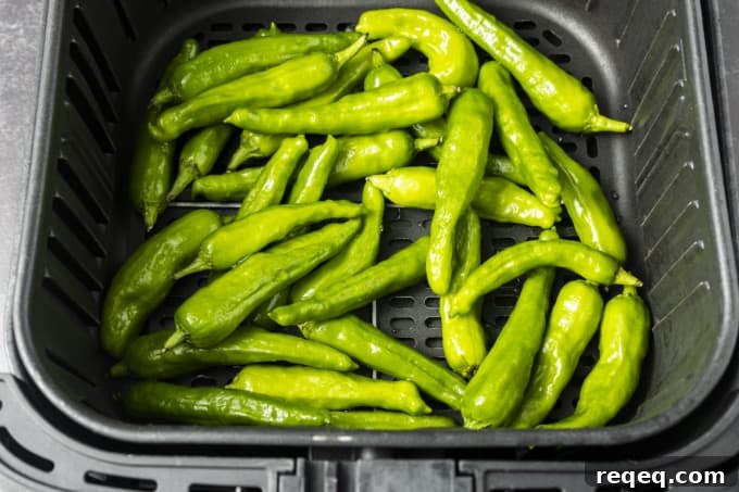 If you're looking for a great snack or the perfect appetizer, look no further than Shishito Peppers Air Fryer style. This super easy recipe for a tasty snack is made from simple ingredients and takes only 3 to 5 minutes of air frying.