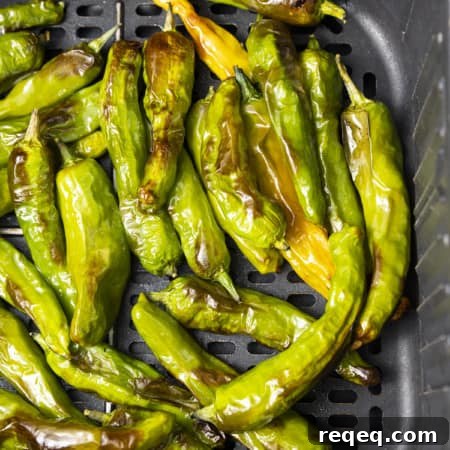 If you're looking for a great snack or the perfect appetizer, look no further than Shishito Peppers Air Fryer style. This super easy recipe for a tasty snack is made from simple ingredients and takes only 3 to 5 minutes of air frying.