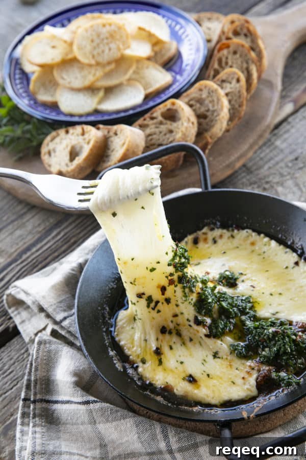 Provoleta fried cheese