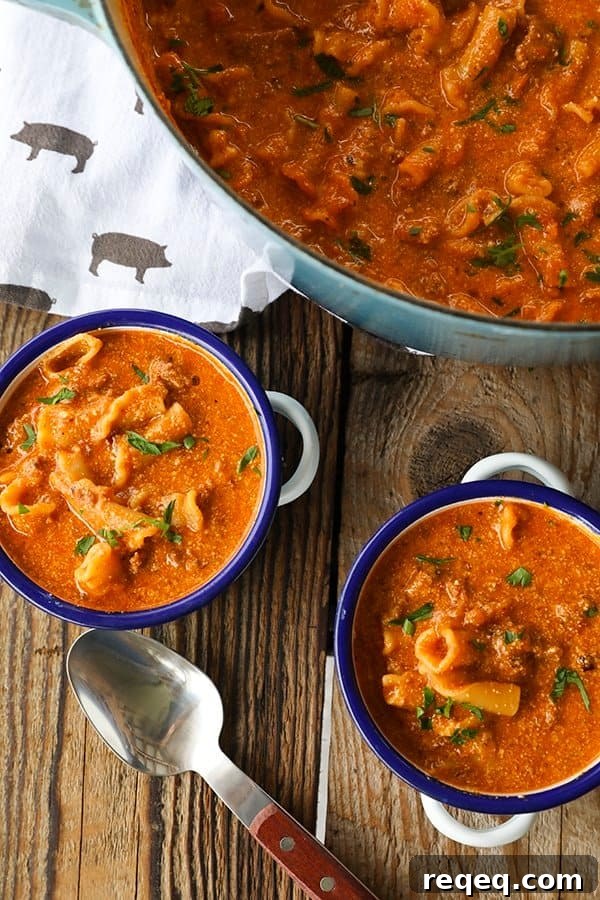Classic Salami Sandwich Recipes for Quick, Flavorful Lunches 8 Bowl of lasagna-style soup.