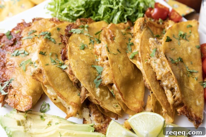 Crispy Chicken Tacos Recipe: Crunchy Street-Style Tacos in 30 Minutes 5 Crunchy Baked Crispy Chicken Tacos