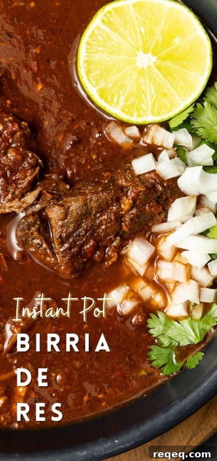 Instant Pot Birria Tacos: Tender Meat in Rich Consommé 7 Instant Pot birria plated and ready to serve.