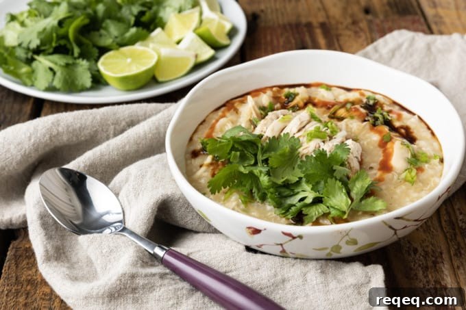 Vietnamese Chicken Congee (Cháo Gà): Authentic Recipe & Tips 3 Bowl of Vietnamese chicken porridge with herbs