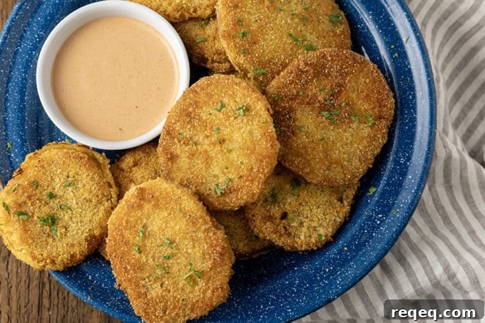 Crispy Air Fryer Fried Green Tomatoes — Quick Southern Recipe 2 fried green tomatoes stacked on a blue enamel plate with a bowl of dip