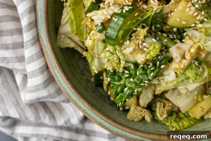 Crunchy Japanese Cabbage Salad with Sesame Ginger Dressing 2 japanese cabbage and cucumber salad in a bowl