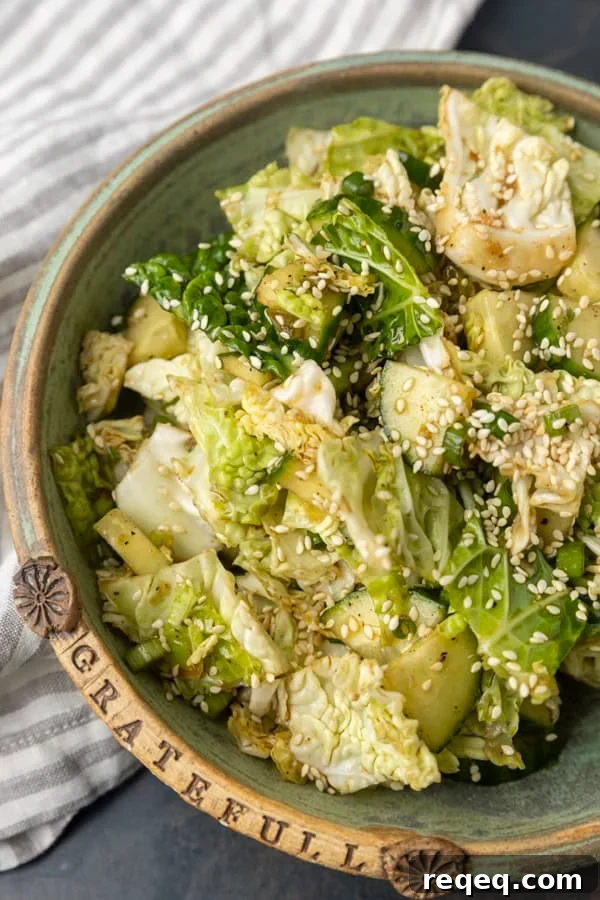 Crunchy Japanese Cabbage Salad with Sesame Ginger Dressing 3 japanese cabbage and cucumber salad in a bowl