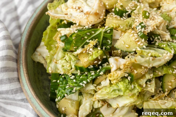 Crunchy Japanese Cabbage Salad with Sesame Ginger Dressing 4 japanese cabbage and cucumber salad in a bowl