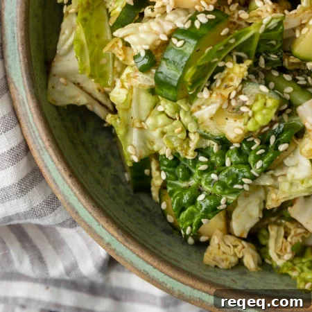 Crunchy Japanese Cabbage Salad with Sesame Ginger Dressing 5 japanese cabbage and cucumber salad in a bowl