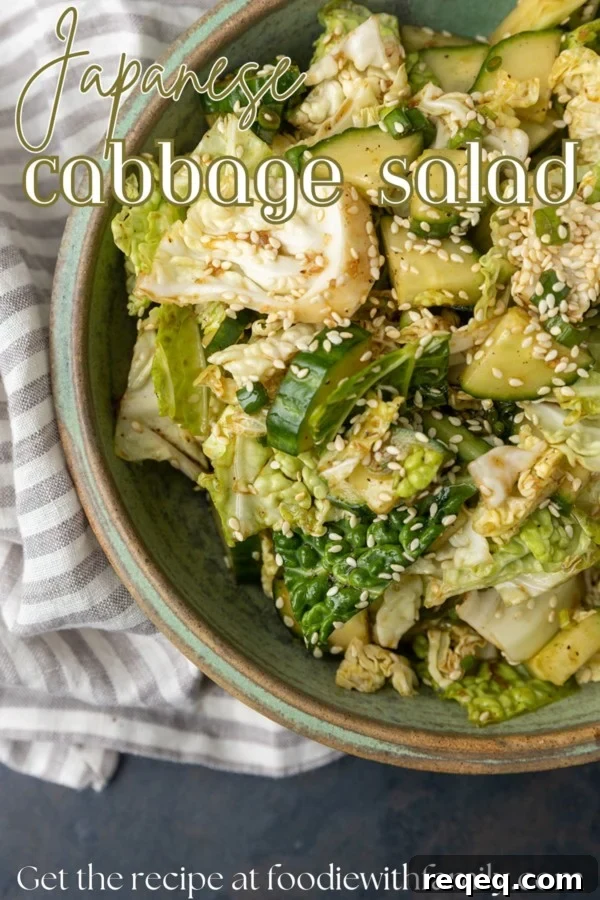 Crunchy Japanese Cabbage Salad with Sesame Ginger Dressing 6 japanese cabbage and cucumber salad in a bowl with a text overlay describing the photo