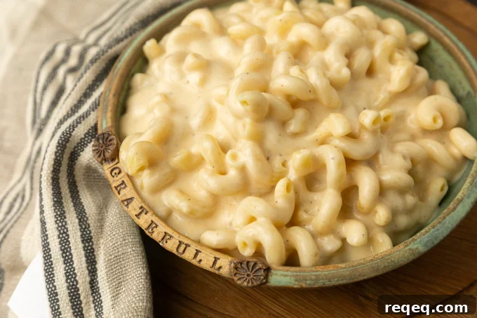 High-Protein Mac and Cheese Recipe for Muscle Growth 4 super creamy high protein Macaroni and cheese in a bowl.