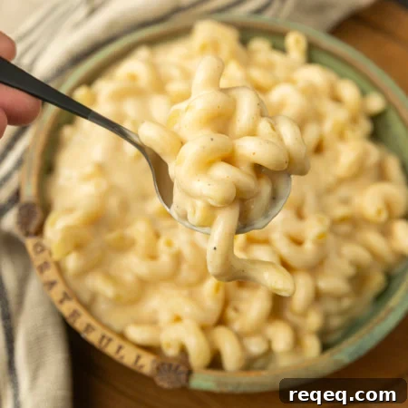 High-Protein Mac and Cheese Recipe for Muscle Growth 5 A spoonful of super creamy macaroni and cheese is being held over a bowl.