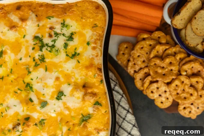High-Protein Buffalo Chicken Dip Recipe for Game Day 3 Buffalo chicken dip with crackers and carrots.