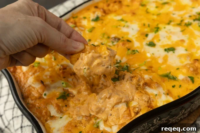 High-Protein Buffalo Chicken Dip Recipe for Game Day 4 Buffalo chicken dip.
