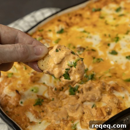 High-Protein Buffalo Chicken Dip Recipe for Game Day 6 Buffalo chicken dip with a hand dipping a chip.
