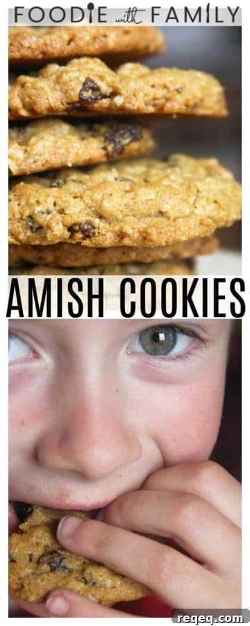 Traditional Amish Cookie Recipes: Classic Old-World Treats 3 Dunk this one in a glass of milk because these cookies won't fall apart on you!