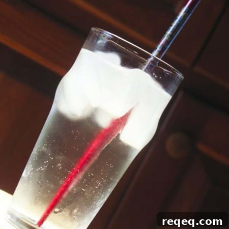 Sparkling Celery Soda Recipe: Refreshing Homemade Drink 2 img 3928 6