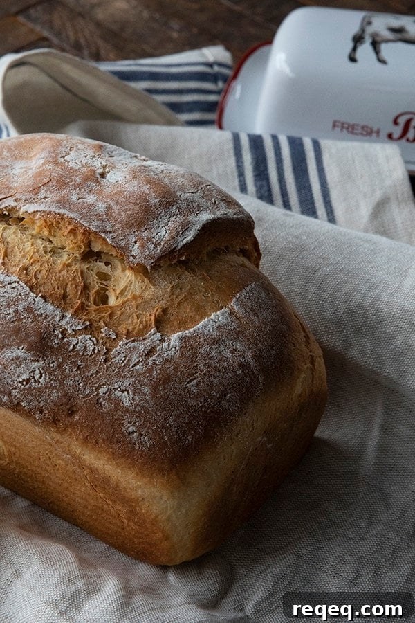 One-Hour Homemade Bread: Quick Rustic Loaf Recipe 2 img 3929 1