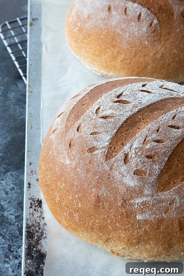 One-Hour Homemade Bread: Quick Rustic Loaf Recipe 3 img 3929 2