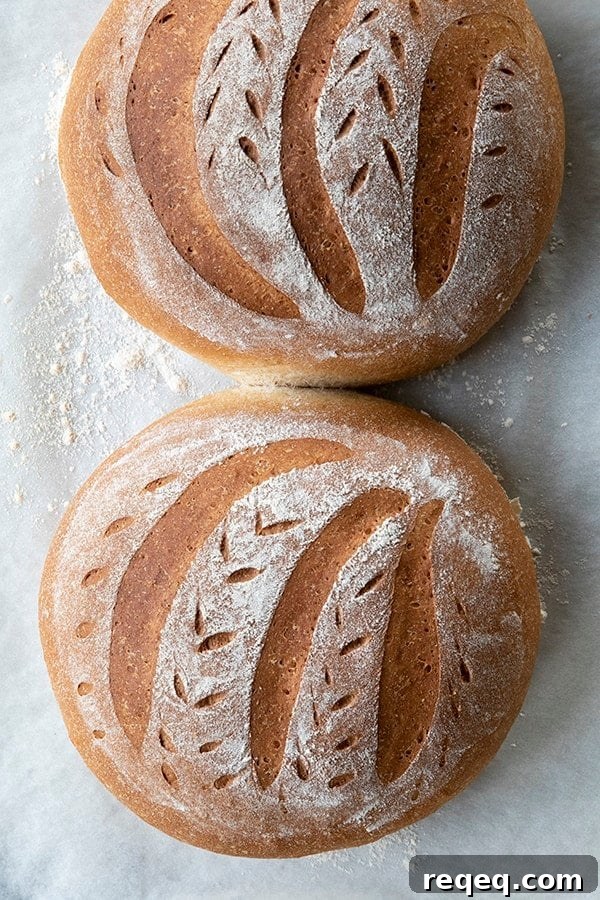 One-Hour Homemade Bread: Quick Rustic Loaf Recipe 4 img 3929 4