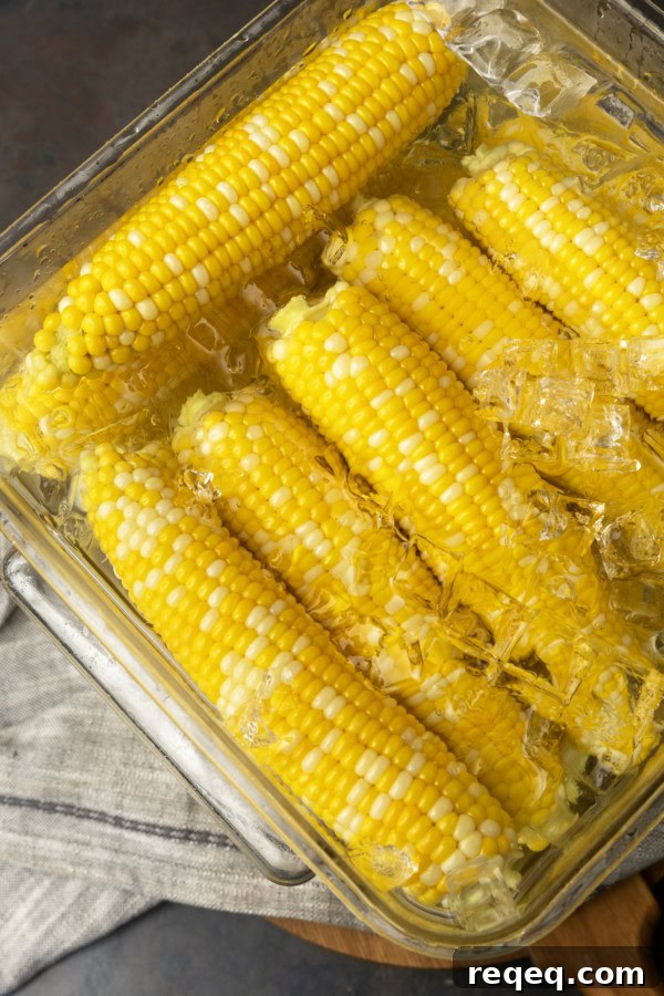 How to Freeze Sweet Corn for Peak Flavor and Freshness 8 blanched sweet corn in an ice water bath