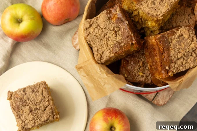 Apple Coffee Cake Recipe: Moist Spiced Apple Crumb Cake 2 apple coffee cake in a tin and on a plate