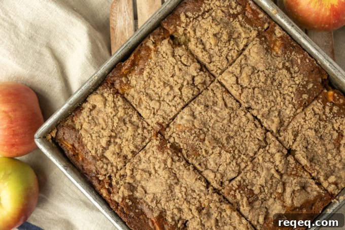 Apple Coffee Cake Recipe: Moist Spiced Apple Crumb Cake 3 apple coffee cake in a pan