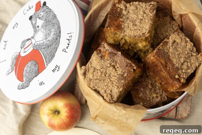 Apple Coffee Cake Recipe: Moist Spiced Apple Crumb Cake 4 apple coffee cake in a tin
