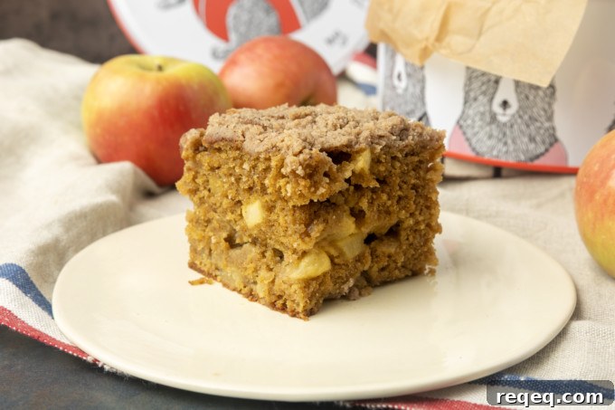 Apple Coffee Cake Recipe: Moist Spiced Apple Crumb Cake 5 apple coffee cake in a tin and on a plate