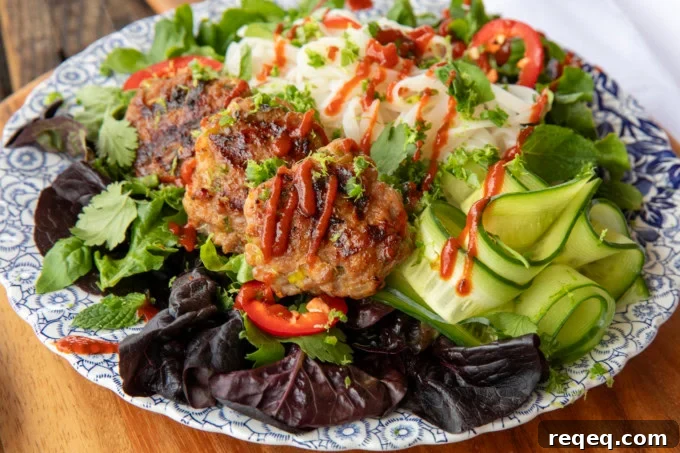 Bún Chả Vietnamese Grilled Pork Patties Recipe 2 bun cha vietnamese pork patties on salad