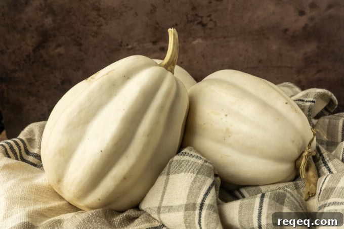 Mashed Potato-Style Squash Recipe: Creamy Comfort Side Dish 3 mashed potato squash a.k.a. white acorn squash