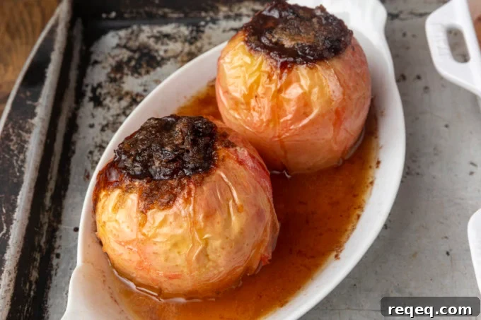 baked apples stuffed with brown sugar, butter, and dried cranberries in ramekins