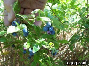 img 425 1