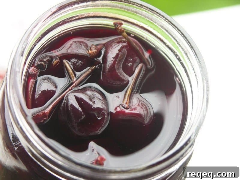 Rum Soaked Preserved Cherries + Boozy Cherry Molasses Rum Soaked Preserved Cherries + Boozy Cherry Molasses